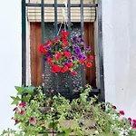 Tatil Evi Casa Arbol *