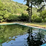 Casa Arbol Tatil Evi