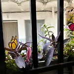 Casa Arbol * Pedro Bernardo