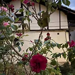 Casa Arbol Tatil Evi