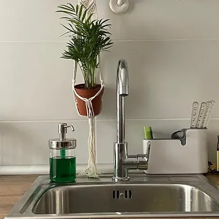 Dom wakacyjny Casa Arbol *