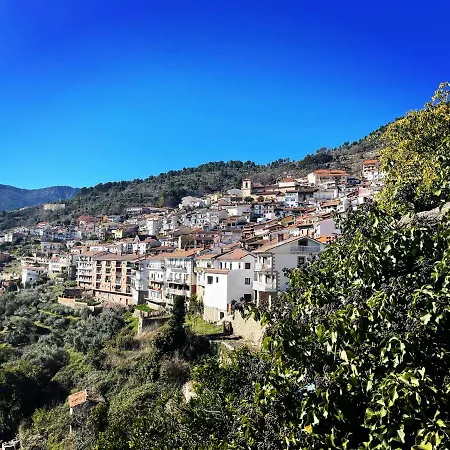 Vakantiehuis Casa Arbol *