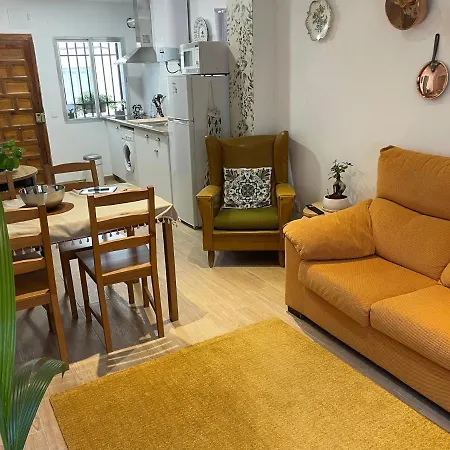 Casa Arbol