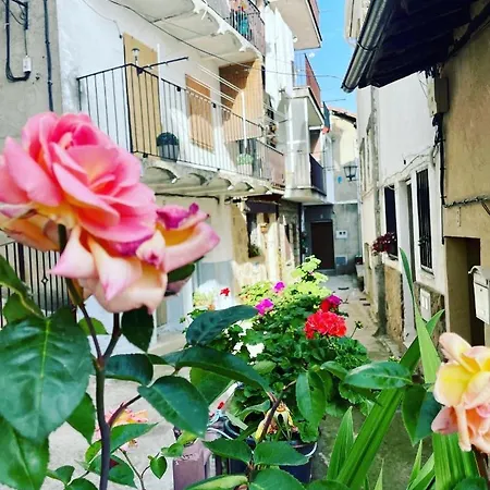 Vakantiehuis Casa Arbol