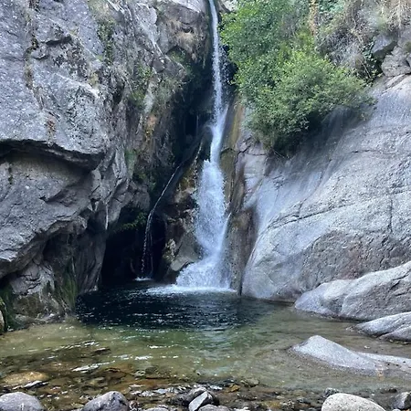 Casa Arbol Pedro Bernardo