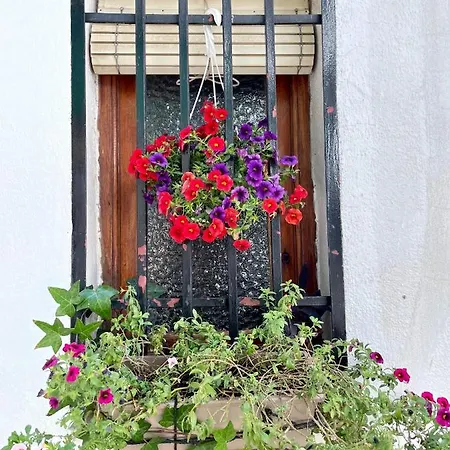 Holiday home Casa Arbol *