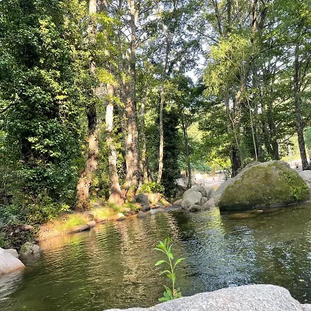 Vakantiehuis Casa Arbol