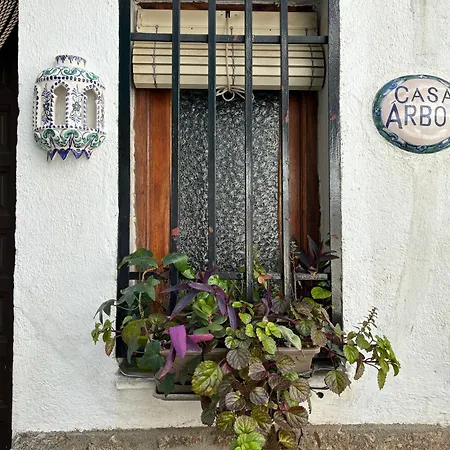 Casa Arbol Holiday home Pedro Bernardo