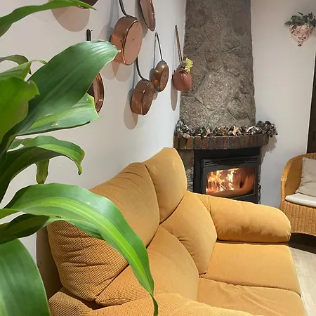 Dom wakacyjny Casa Arbol *