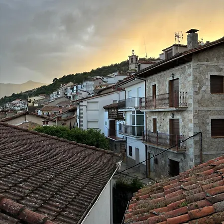 Casa árbol *