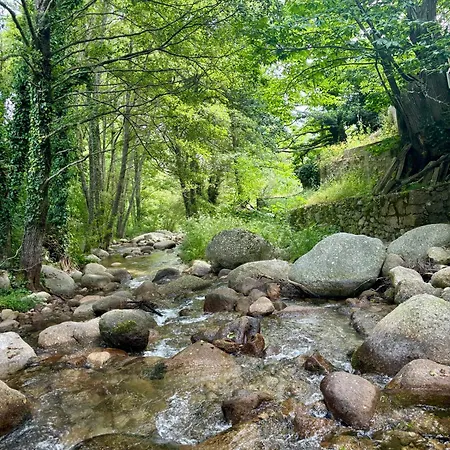 Vakantiehuis Casa Arbol