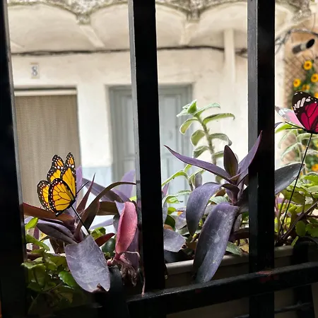 Casa Arbol * Pedro Bernardo