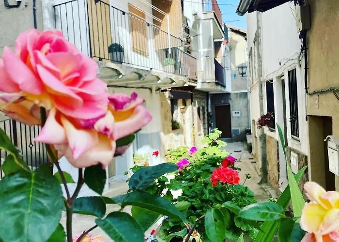 Сasa de vacaciones Casa árbol