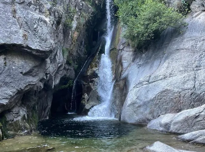 Casa árbol Pedro Bernardo