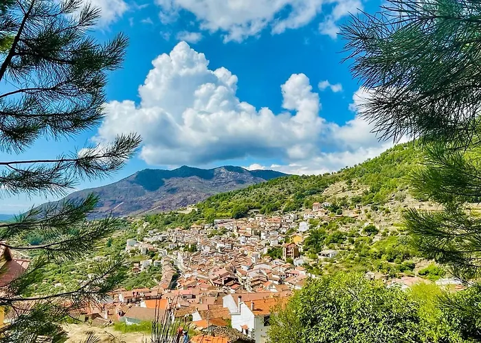 Casa árbol * Pedro Bernardo