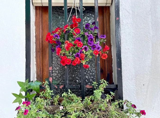 Casa de Férias Casa árbol *