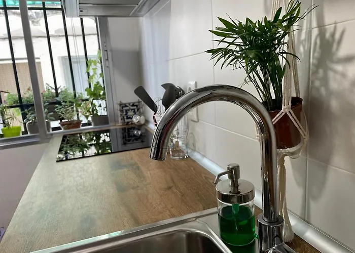 Casa árbol * Pedro Bernardo