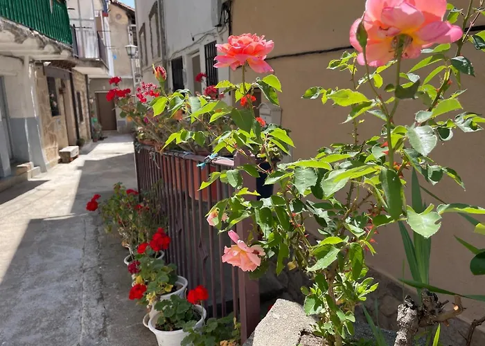 Casa árbol Pedro Bernardo