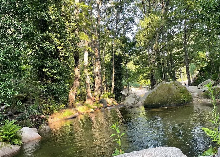 Сasa de vacaciones Casa árbol