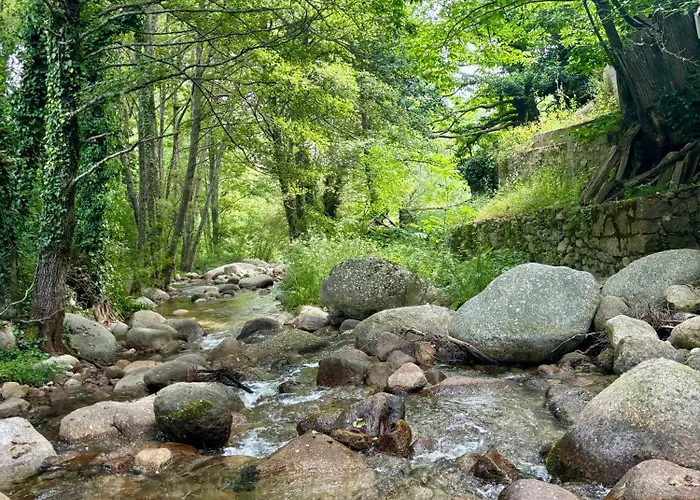 Сasa de vacaciones Casa árbol