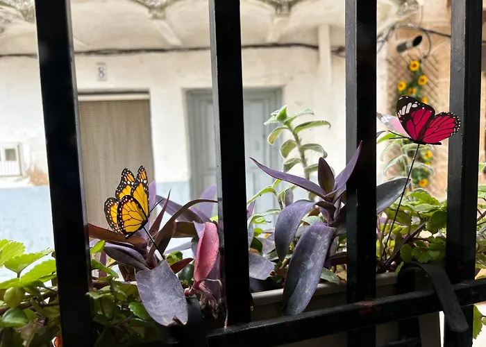 Casa Arbol * Pedro Bernardo