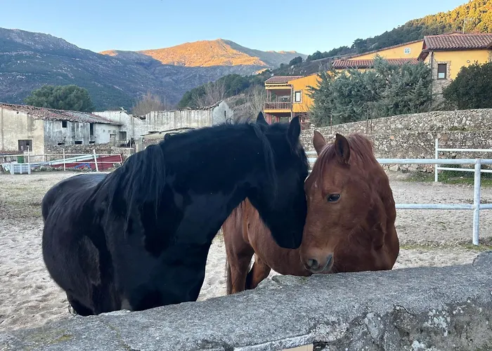 Casa árbol Pedro Bernardo