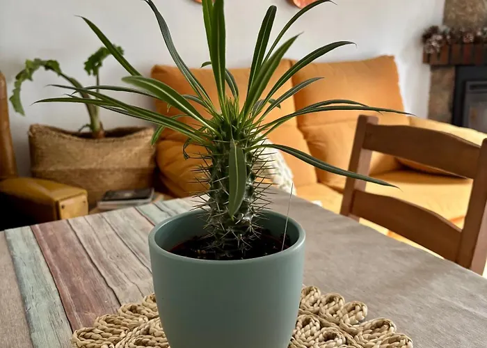 Сasa de vacaciones Casa árbol