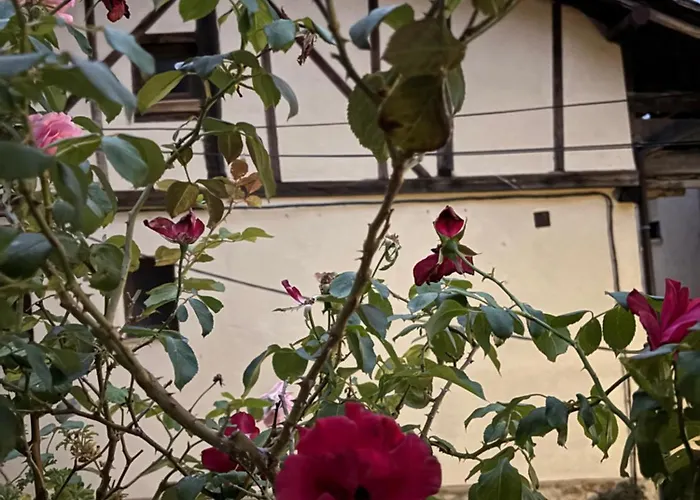 Casa árbol Сasa de vacaciones